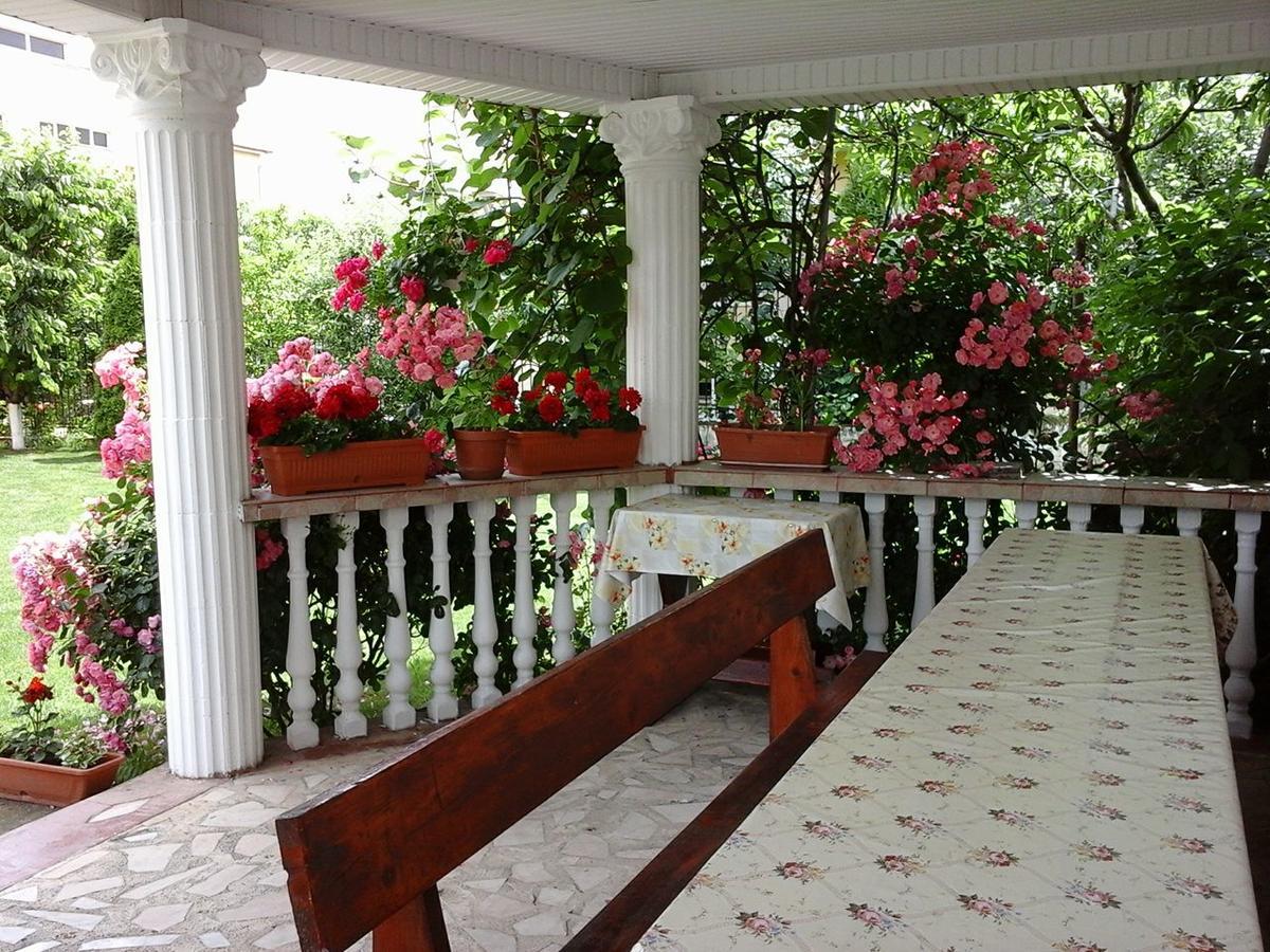 Casa Monica Hotel Băile Felix Buitenkant foto
