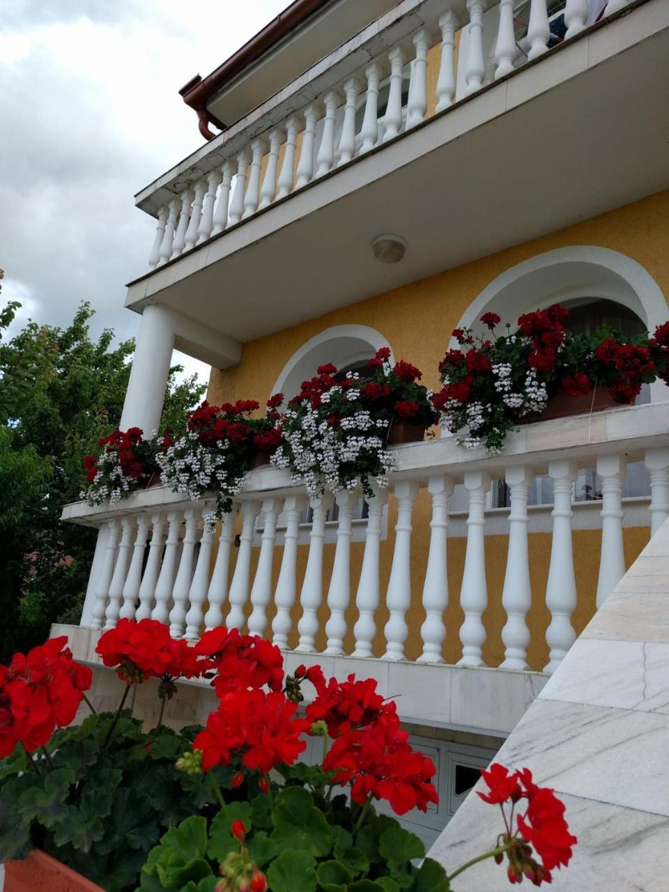 Casa Monica Hotel Băile Felix Buitenkant foto
