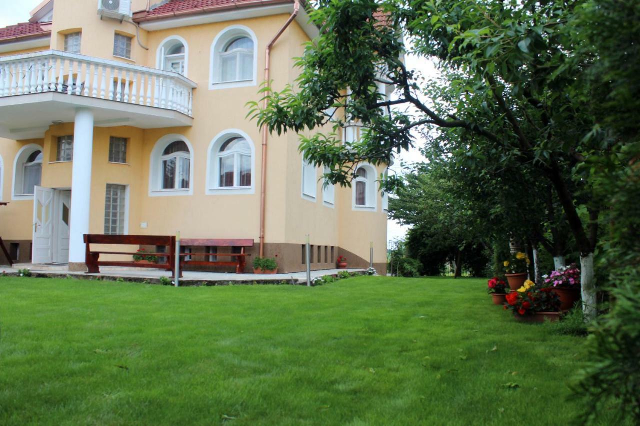 Casa Monica Hotel Băile Felix Buitenkant foto